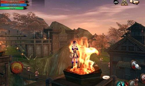 卧虎藏龙之楚飞传