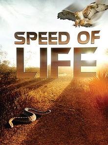 探索频道：生命的速度,探索频道带你领略生命的速度之谜